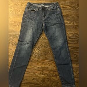 Ann Taylor LOFT Curvy Skinny Jean Size 8